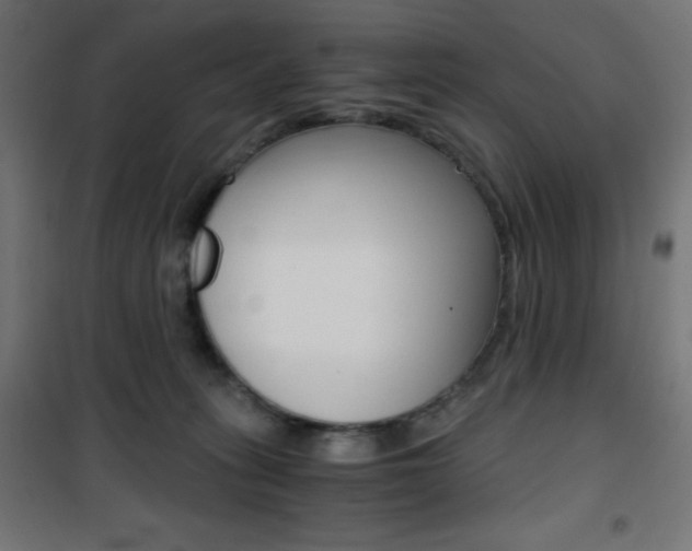 X0000101390275200807071012