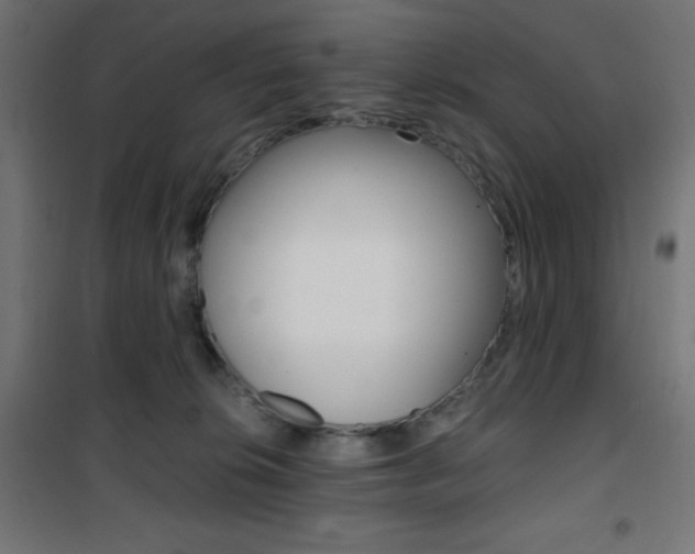 X0000101390276200807071012
