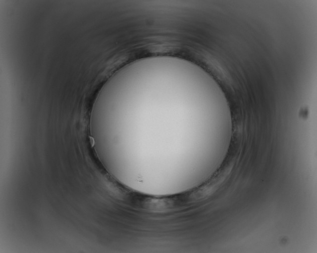 X0000101390277200807071012