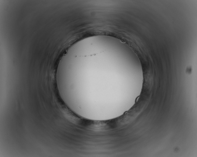 X0000101390278200807071012