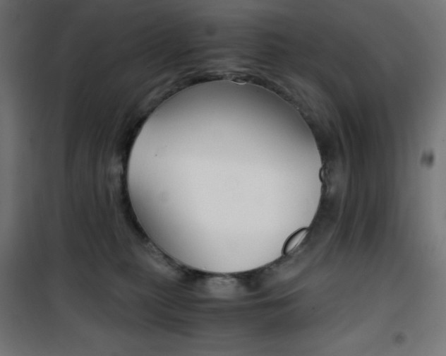 X0000101390279200807071012