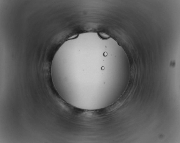 X0000101390280200807071012