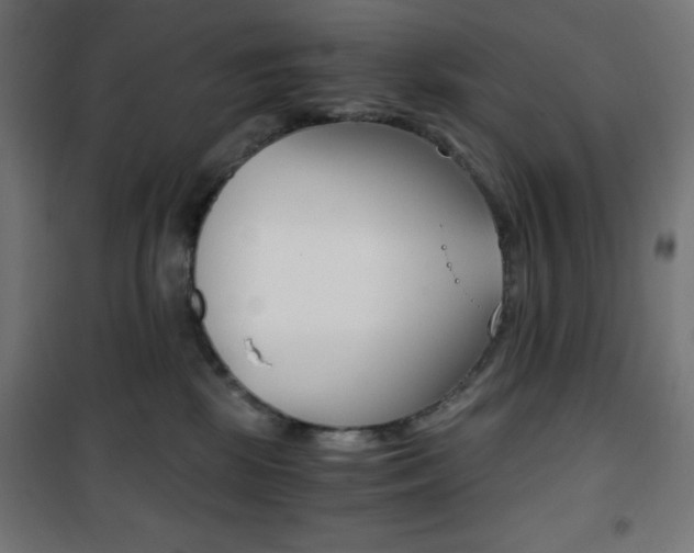 X0000101390281200807071012