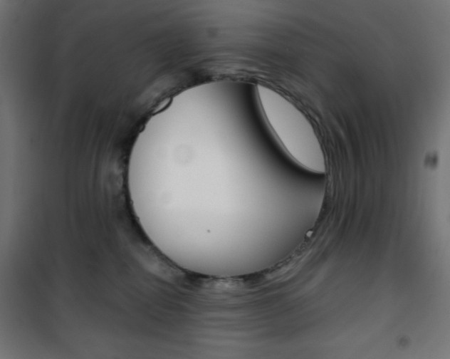 X0000101390282200807071012