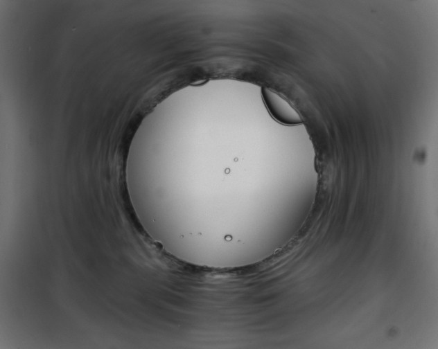 X0000101390283200807071012