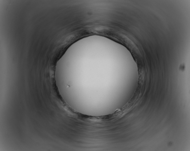 X0000101390284200807071012