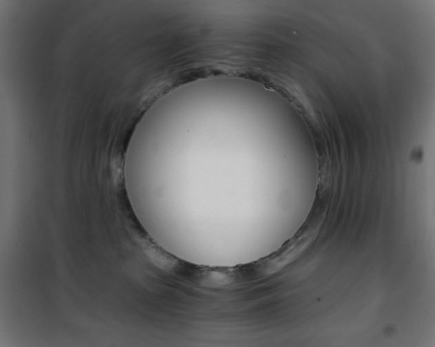 X0000101390285200807071012
