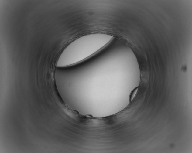 X0000101390286200807071012