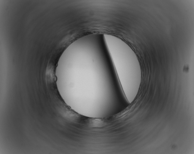 X0000101390287200807071012