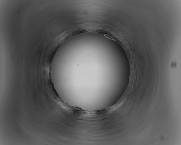 X0000101390288200807071012