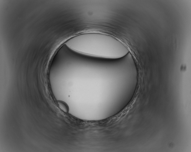 X0000101390289200807071011