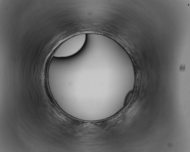 X0000101390290200807071011