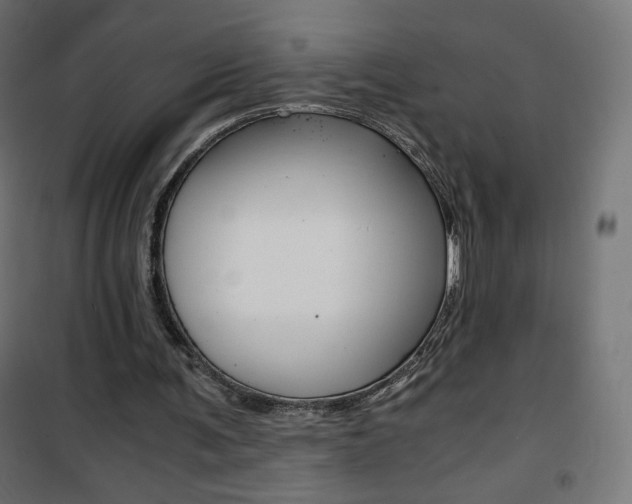 X0000101390291200807071011