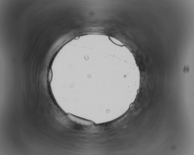 X0000101390293200807071011