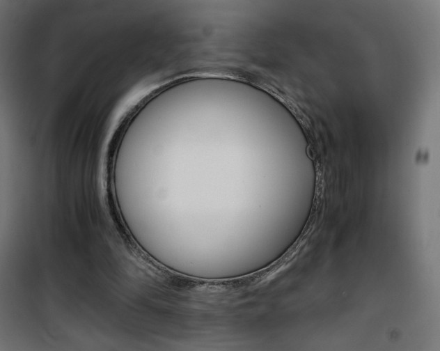X0000101390294200807071011