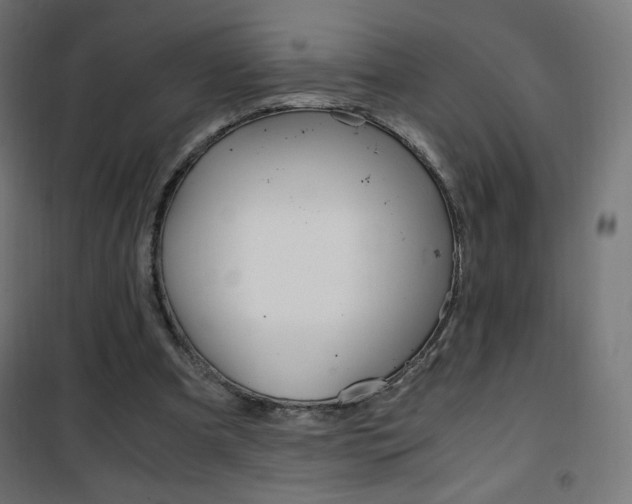 X0000101390297200807071011