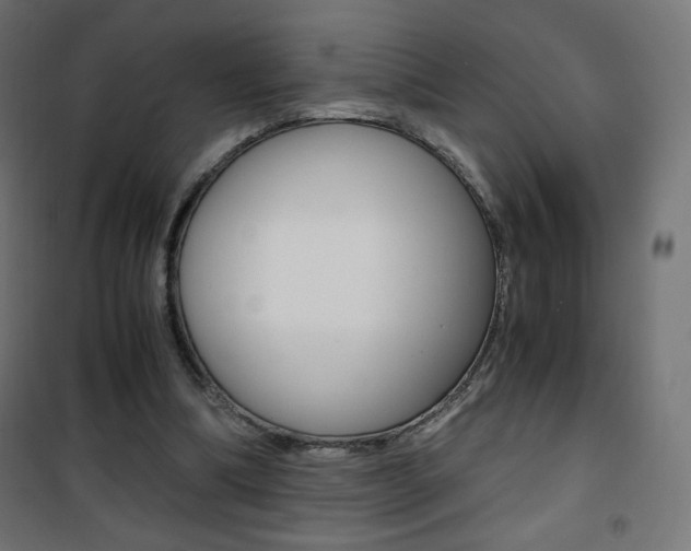 X0000101390298200807071011