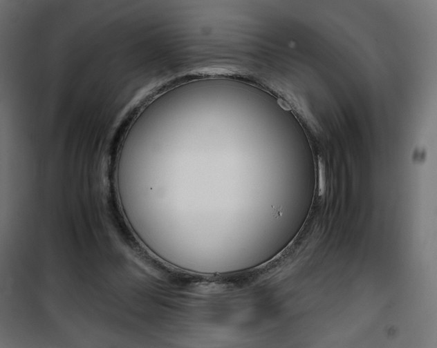 X0000101390300200807071011