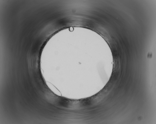 X0000101390301200807071011