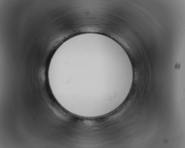 X0000101390302200807071011