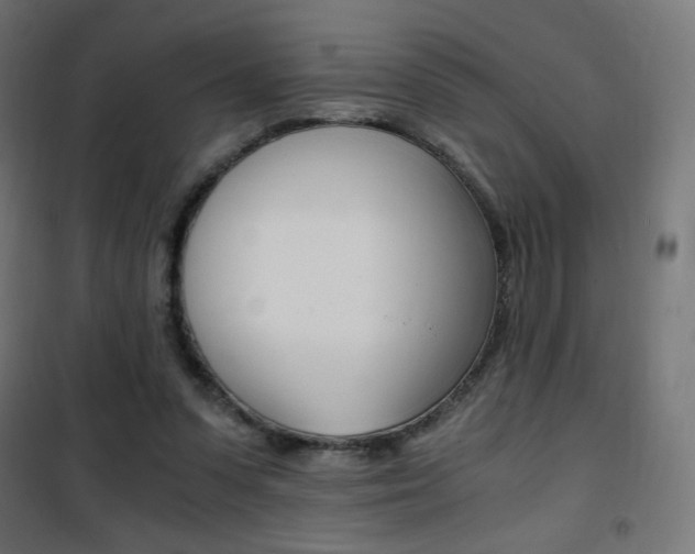 X0000101390303200807071011