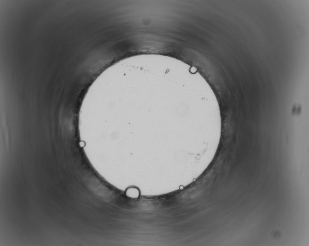 X0000101390305200807071011