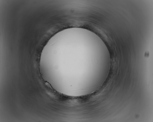 X0000101390307200807071011