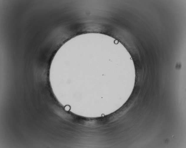 X0000101390309200807071011