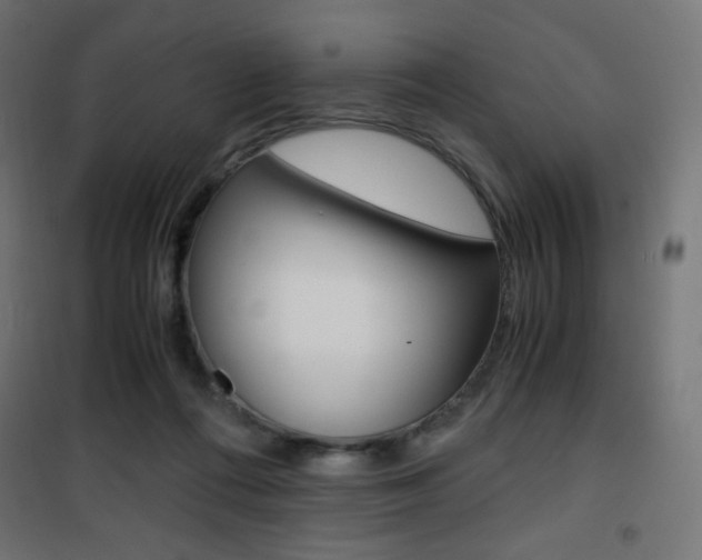 X0000101390312200807071011