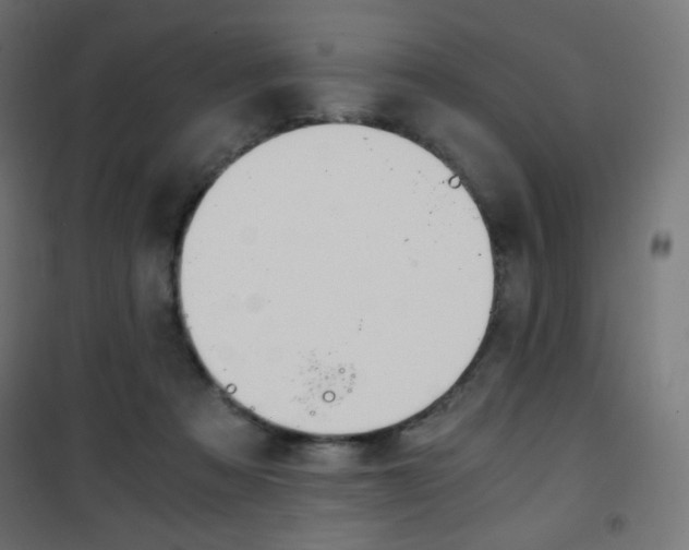 X0000101390313200807071011