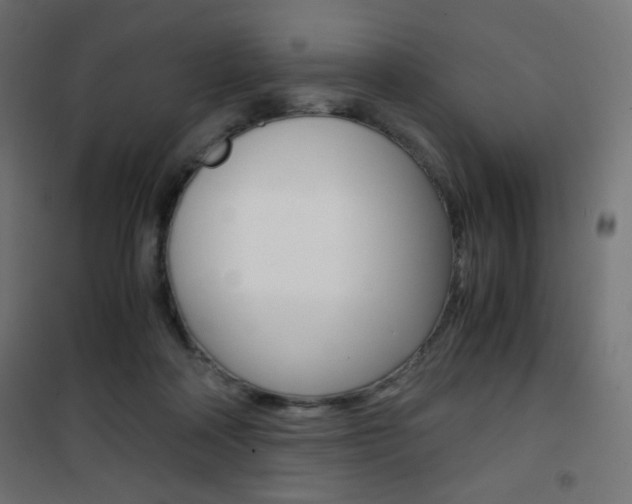 X0000101390314200807071011