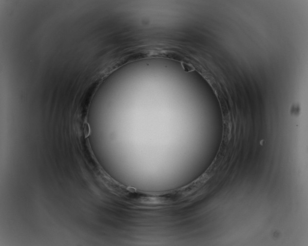 X0000101390316200807071011