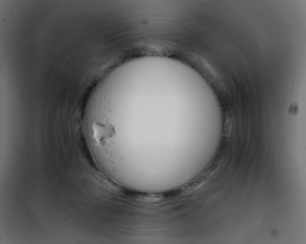 X0000101390318200807071011