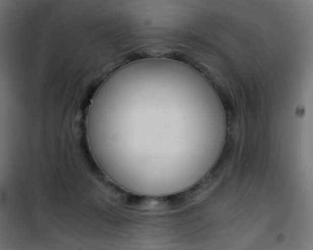 X0000101390319200807071011