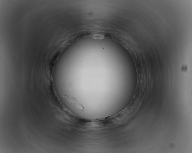 X0000101390320200807071011