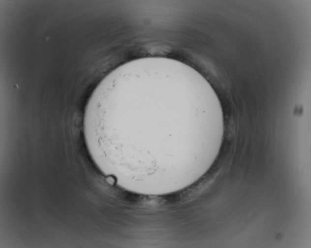 X0000101390321200807071011
