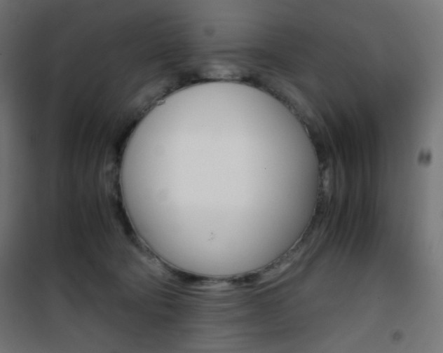 X0000101390322200807071011