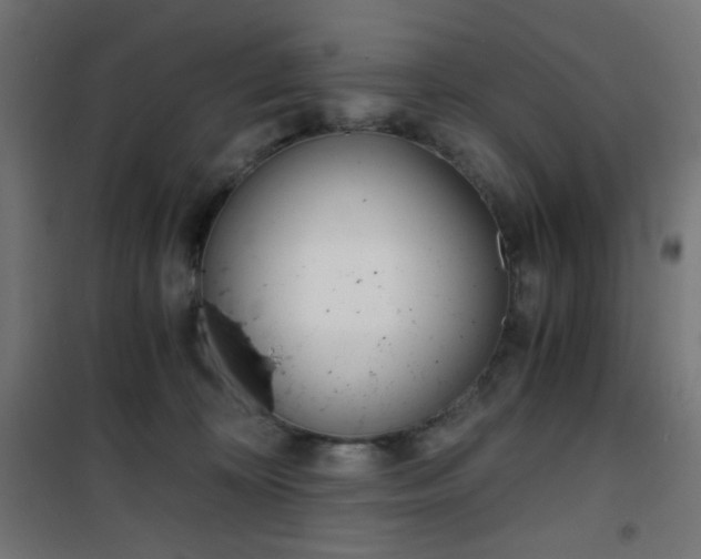 X0000101390324200807071011
