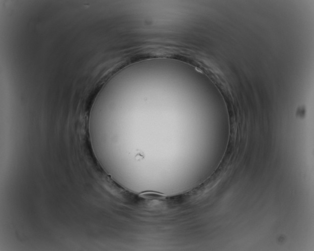 X0000101390325200807071011