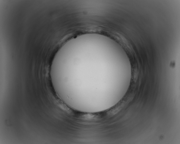 X0000101390326200807071011