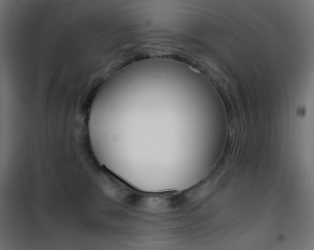 X0000101390327200807071011