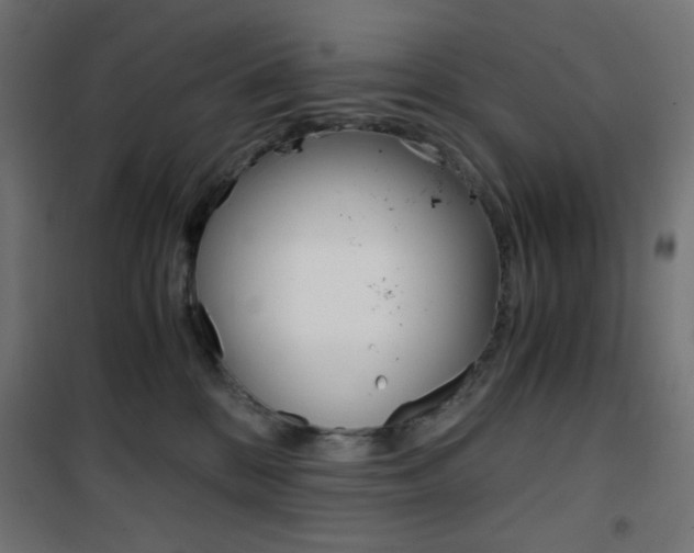 X0000101390328200807071011