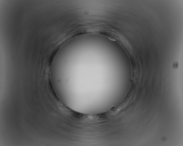 X0000101390329200807071011