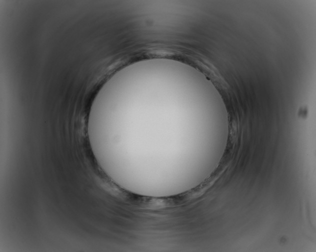 X0000101390330200807071011