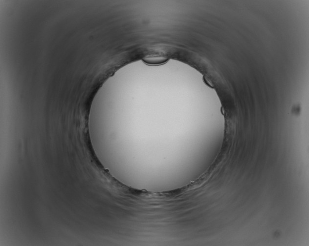 X0000101390331200807071011