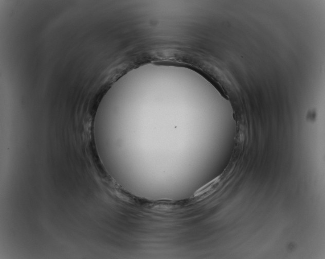 X0000101390332200807071011