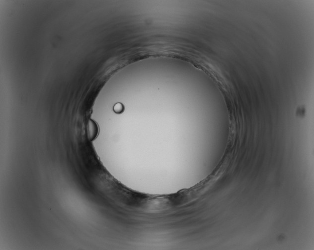 X0000101390333200807071011