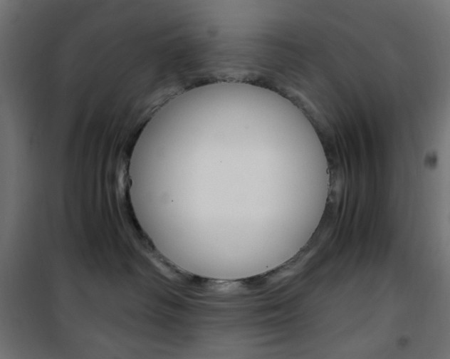 X0000101390334200807071011