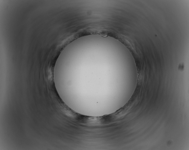 X0000101390335200807071011