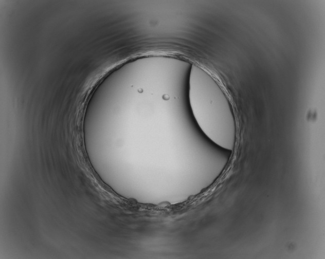 X0000101390337200807071010